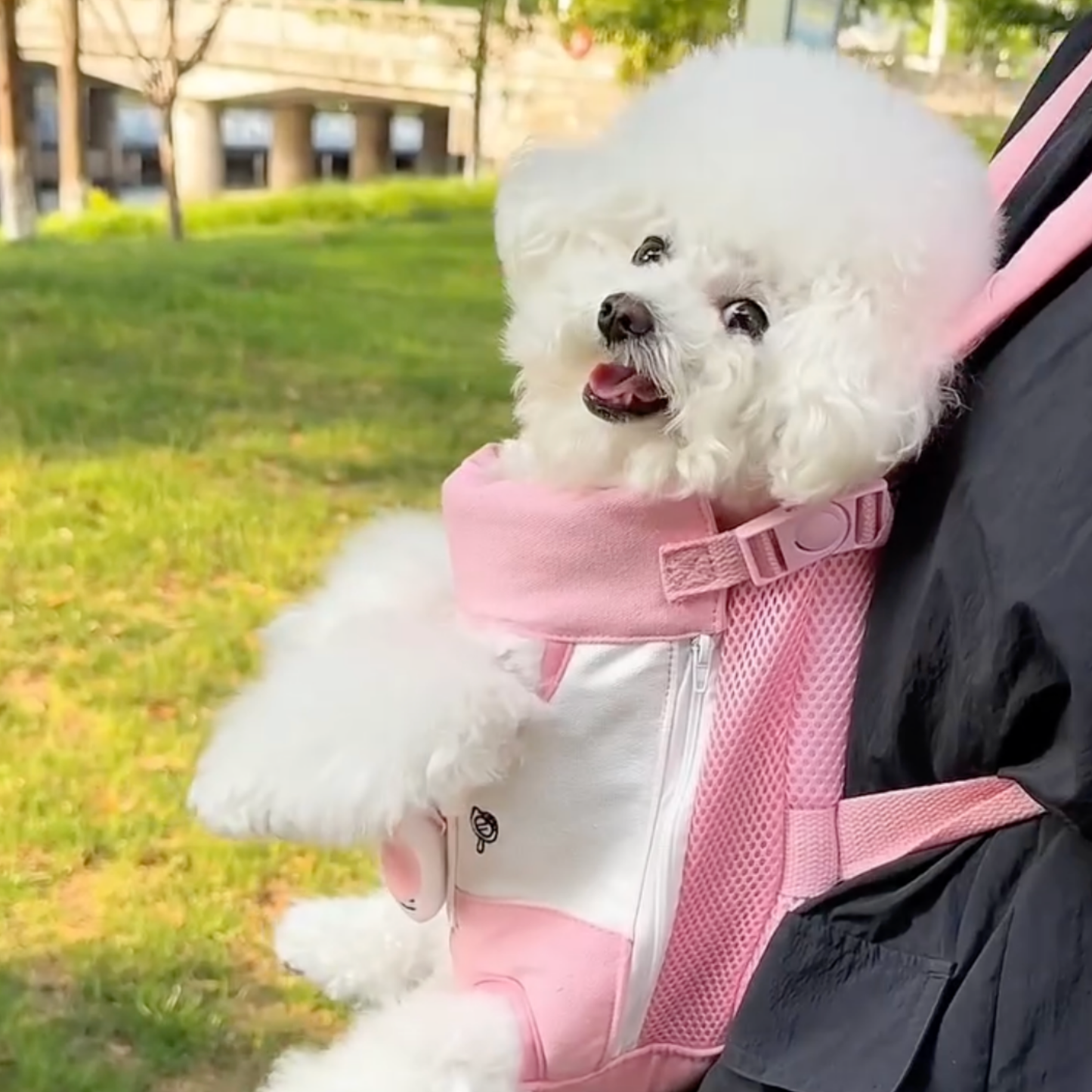 Chewie Viral Cozy Backpack