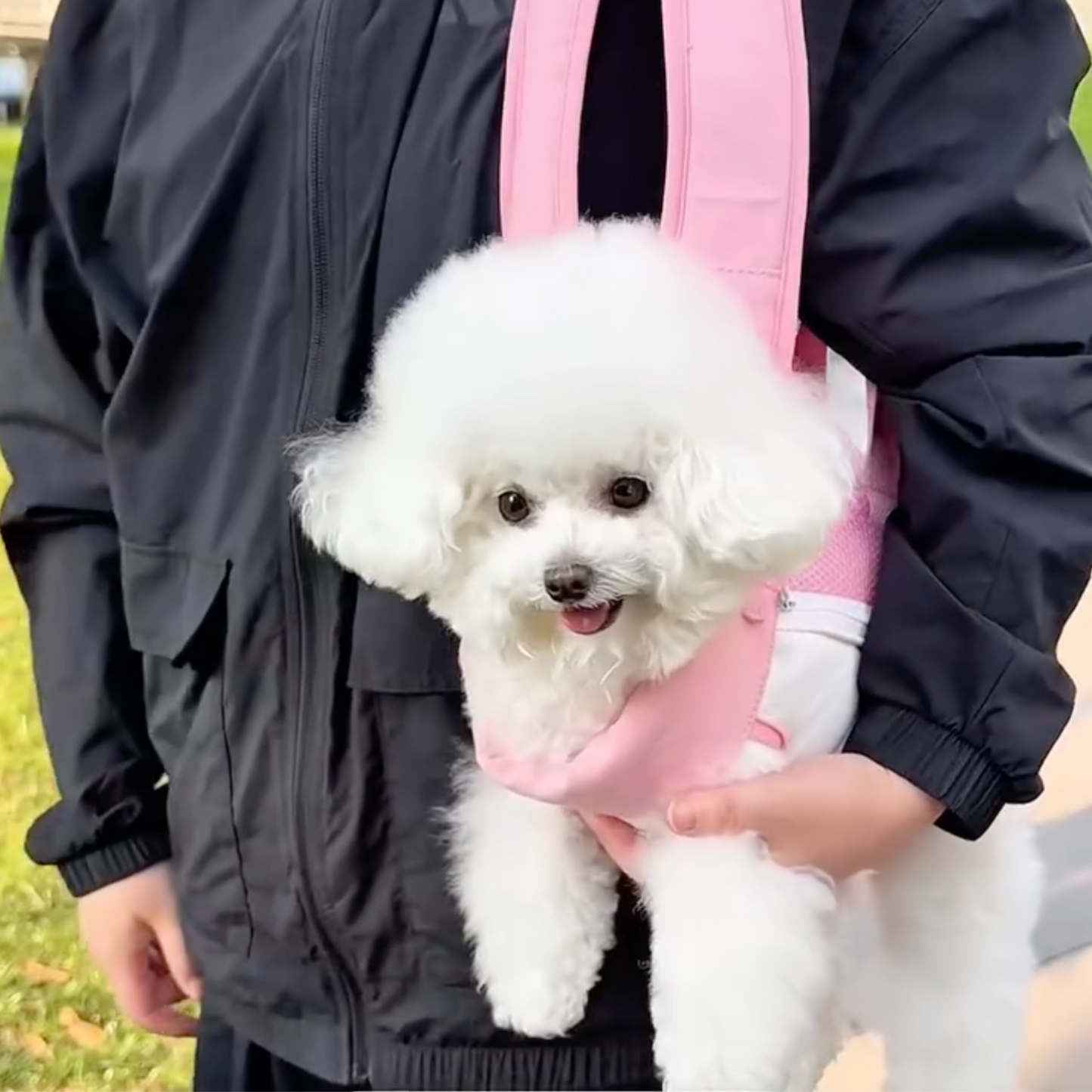 Chewie Viral Cozy Backpack