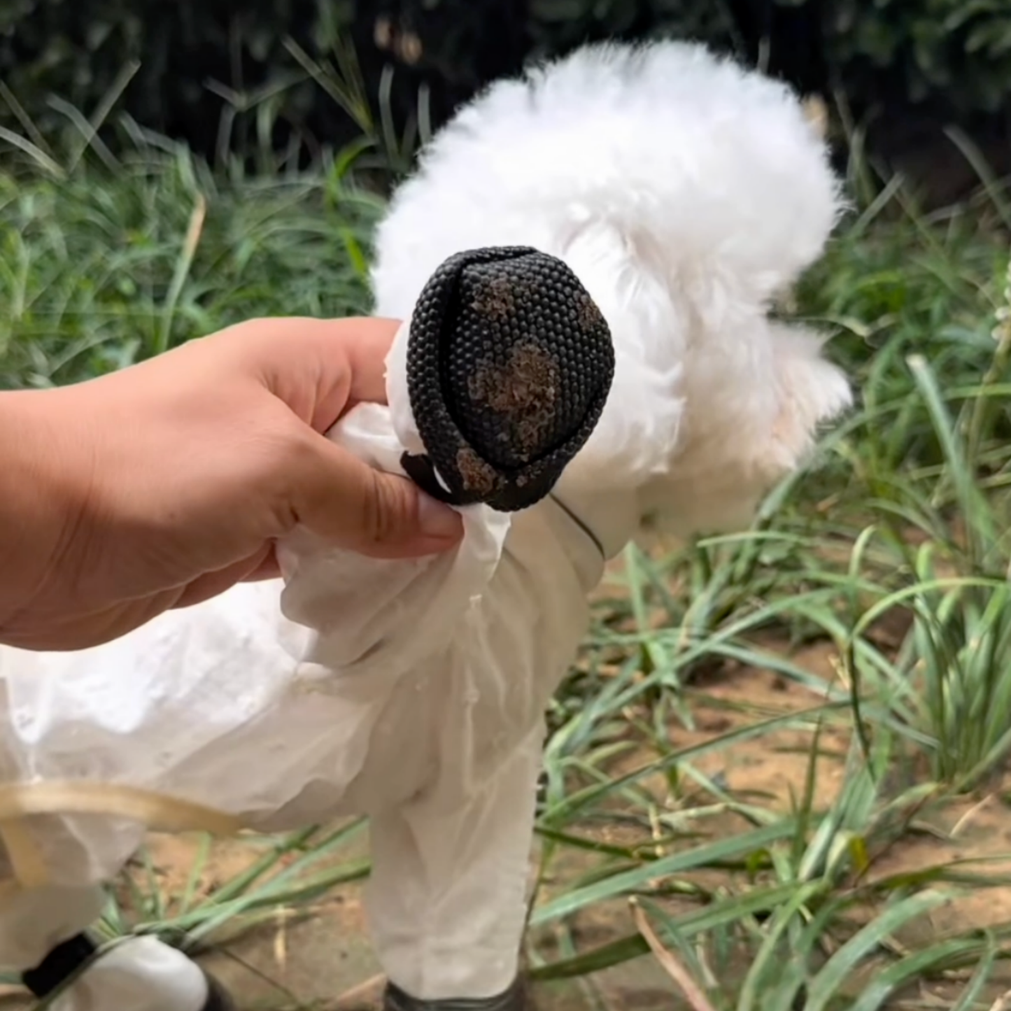 Chewie Viral Anti-Dirt Pants