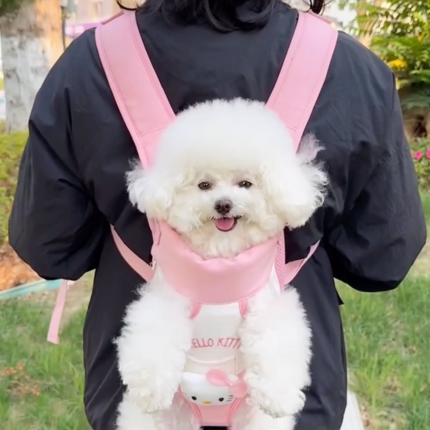 Chewie Viral Cozy Backpack