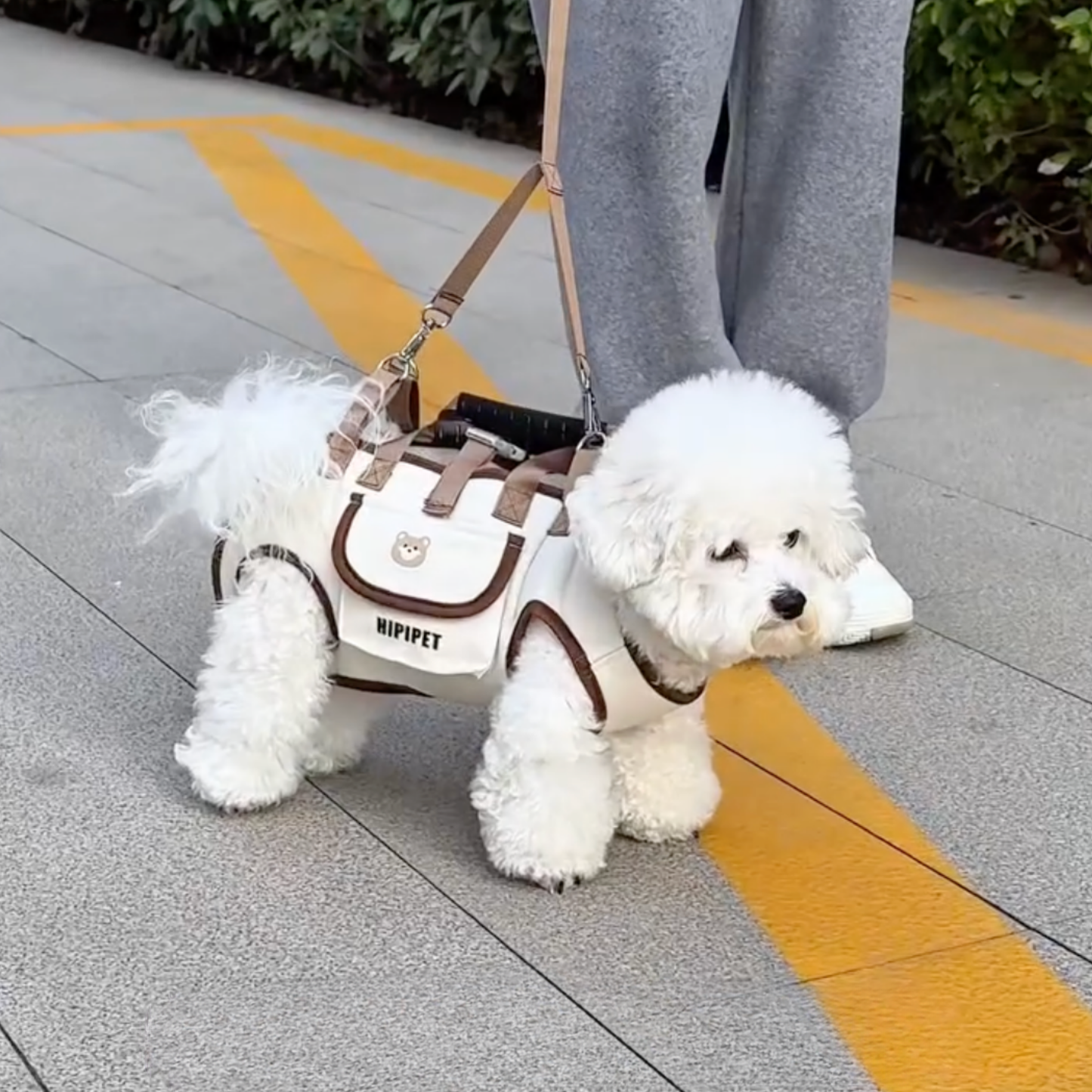 Chewie Viral Dog Carrier
