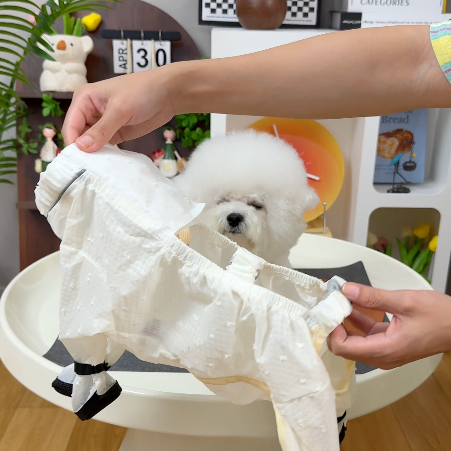 Chewie Viral Anti-Dirt Pants