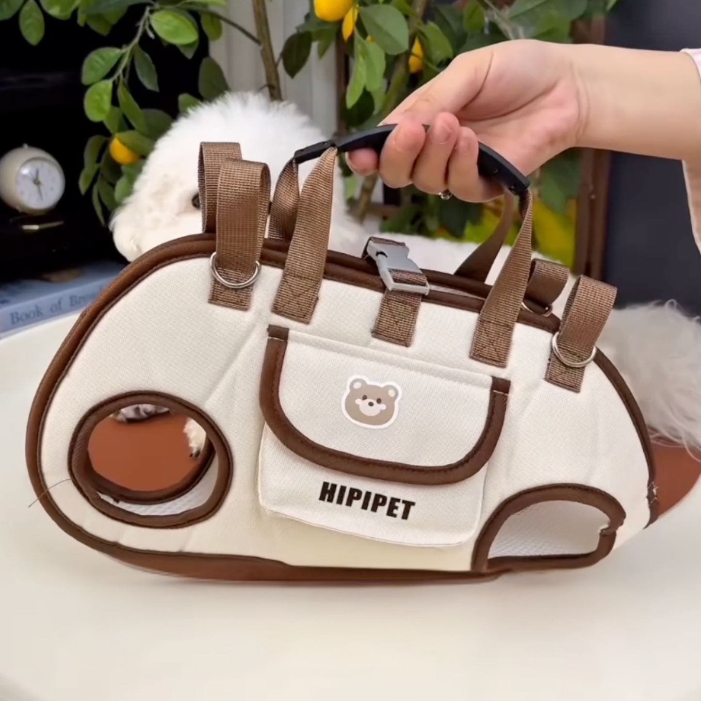 Chewie Viral Dog Carrier