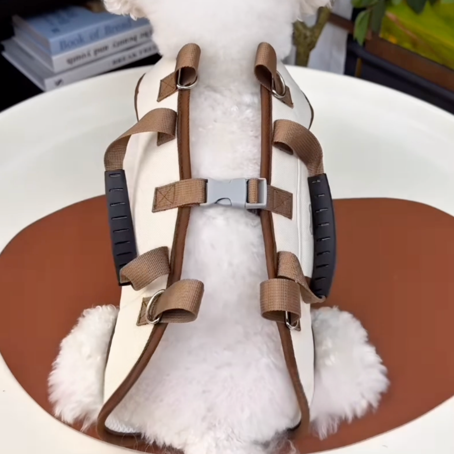 Chewie Viral Dog Carrier