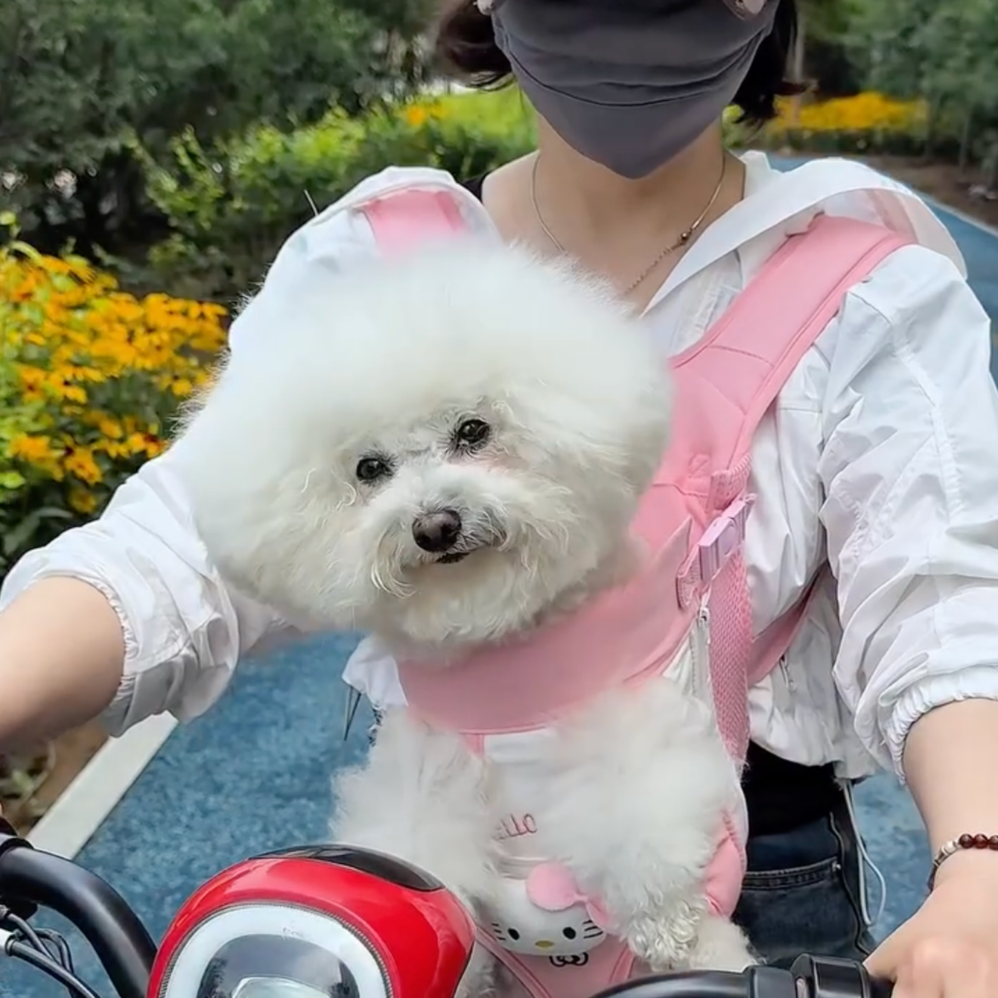 Chewie Viral Cozy Backpack