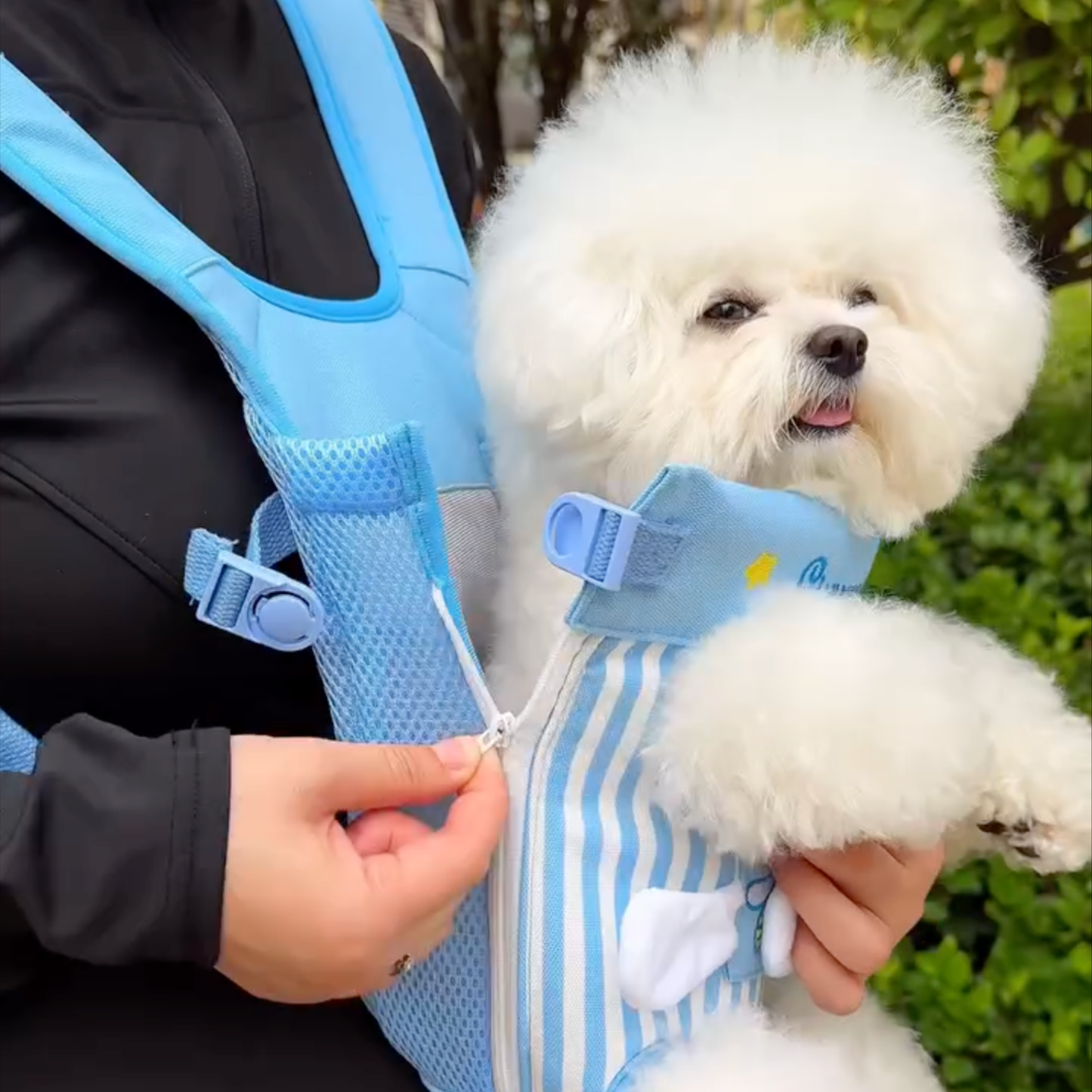 Chewie Viral Cozy Backpack