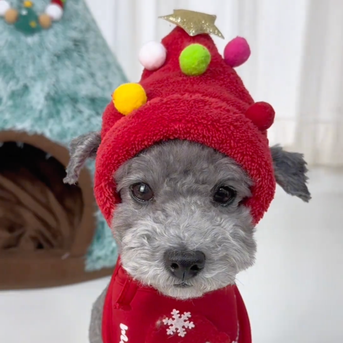 Chewie Viral Christmas Hat