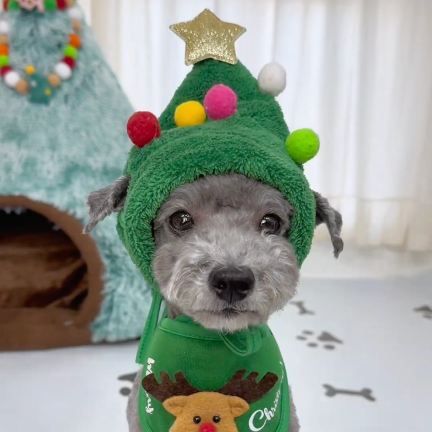 Chewie Viral Christmas Hat
