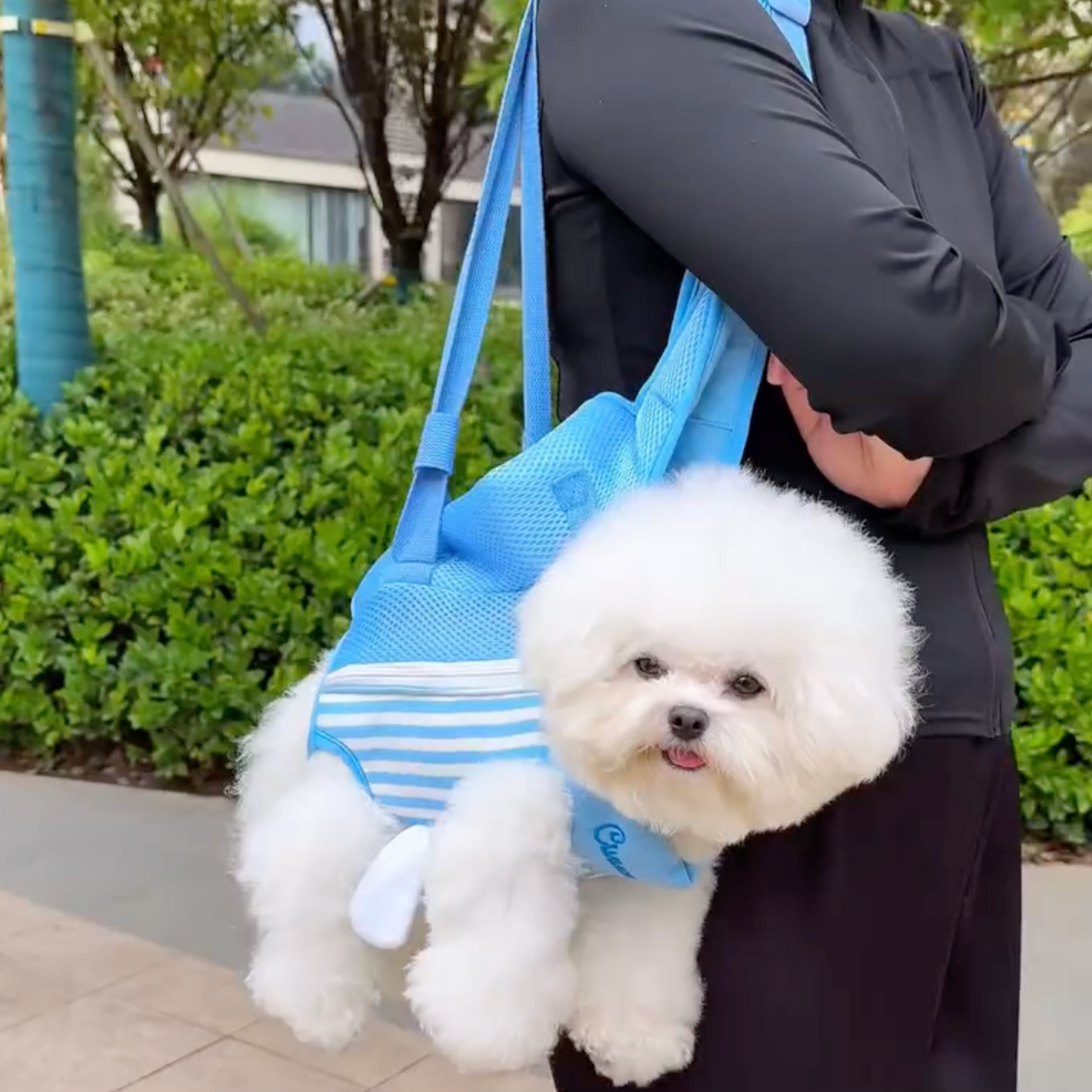 Chewie Viral Cozy Backpack