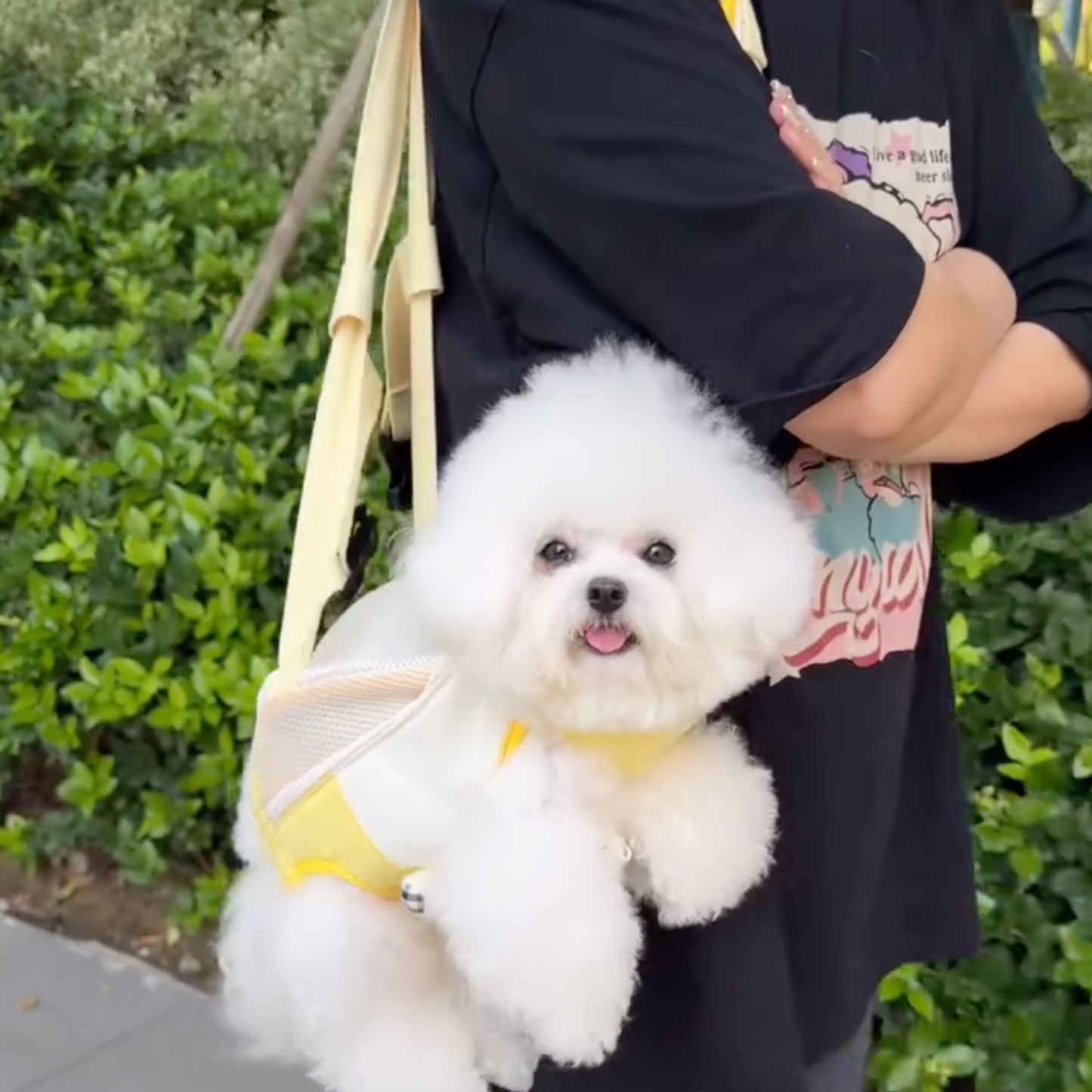 Chewie Viral Cozy Backpack