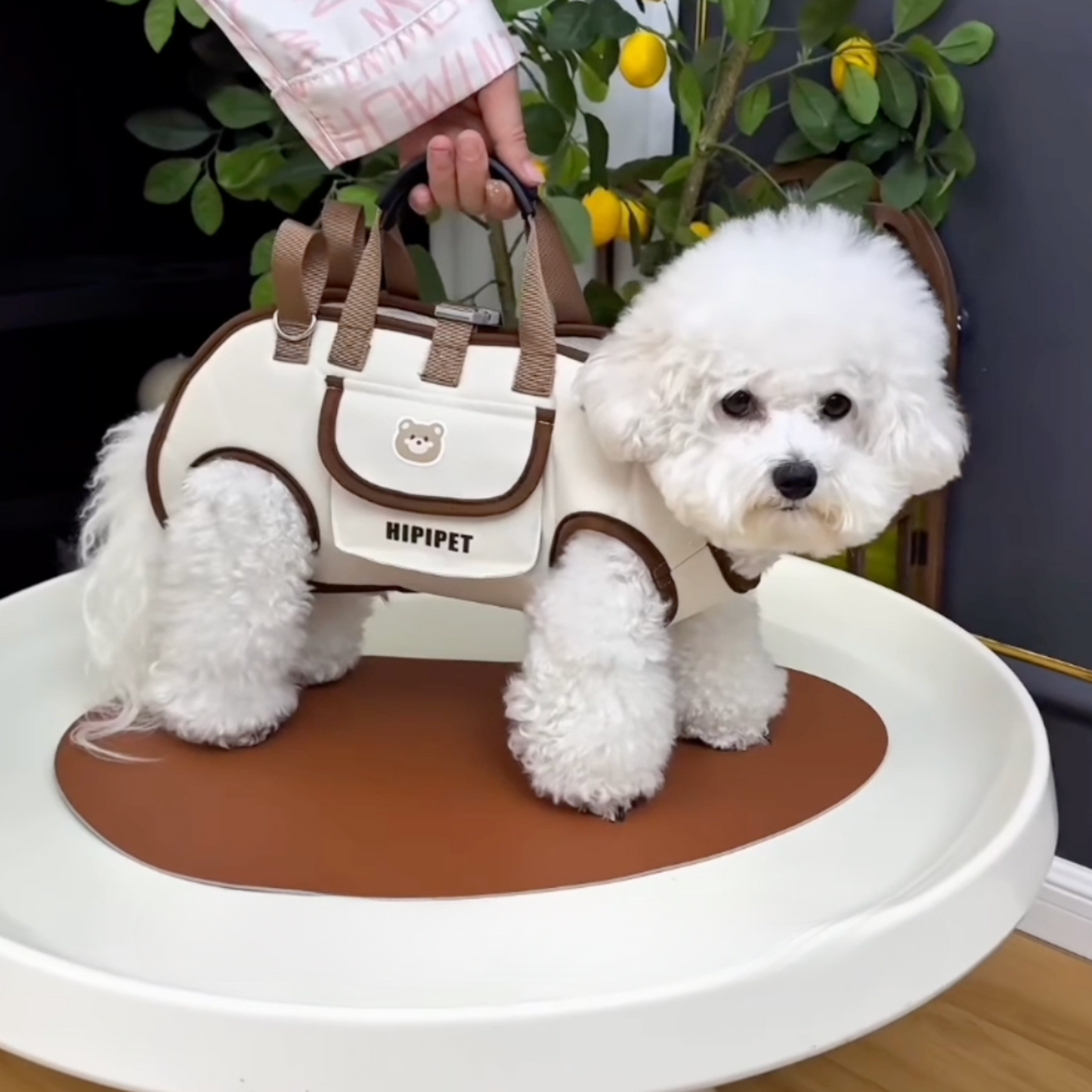 Chewie Viral Dog Carrier