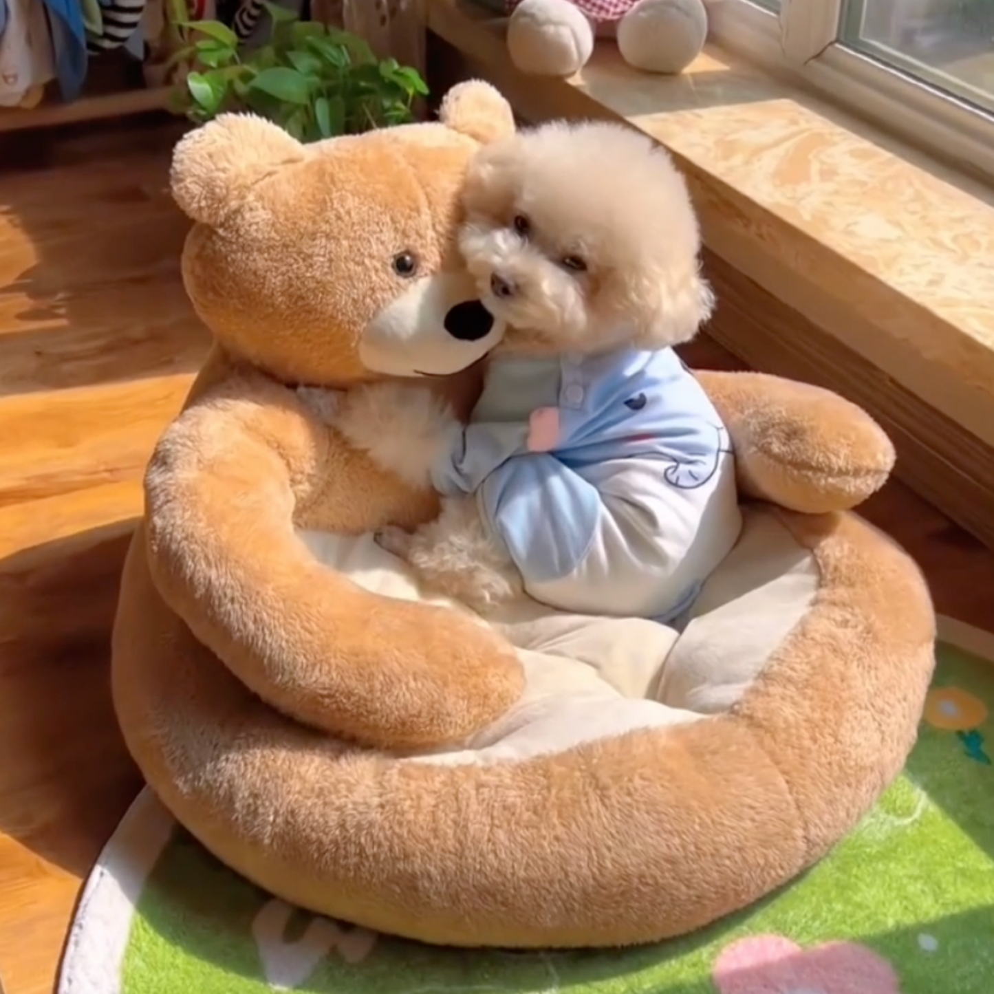 Chewie Cozy Bear Bed