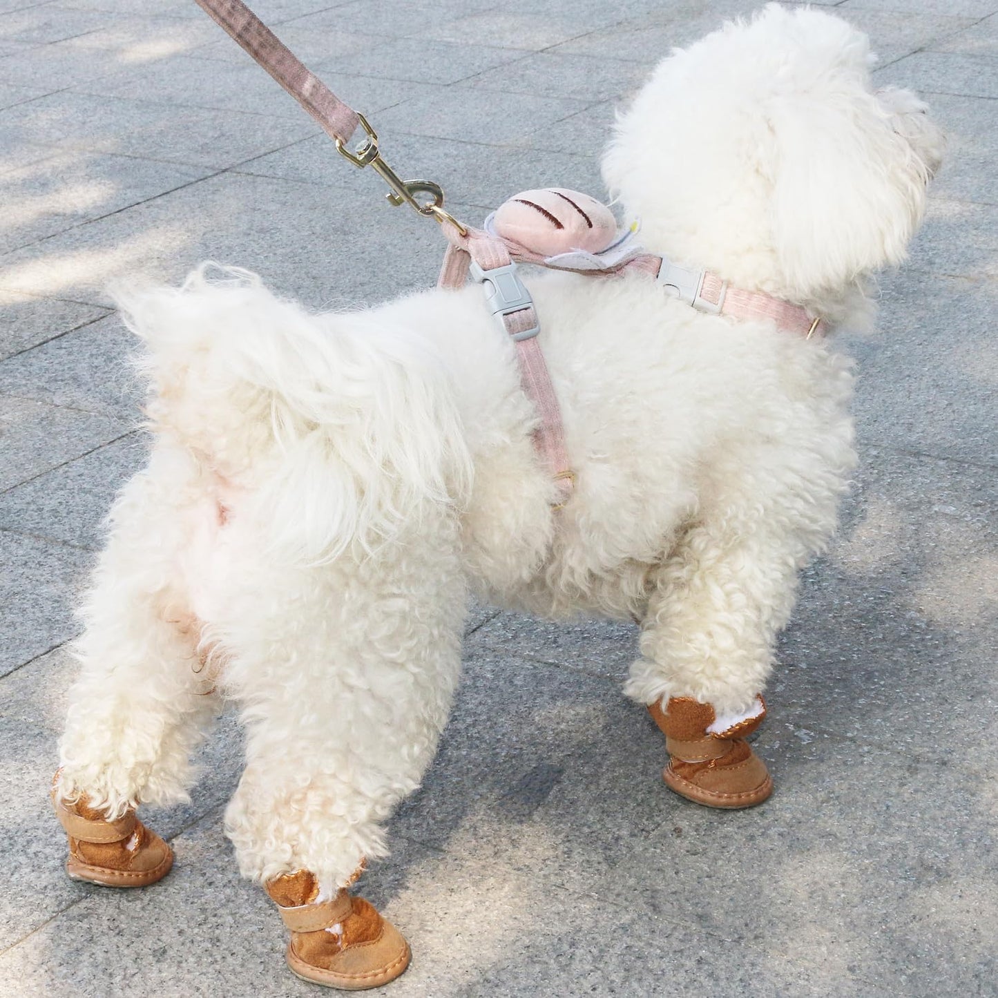 Chewie Cozy Winter Shoes