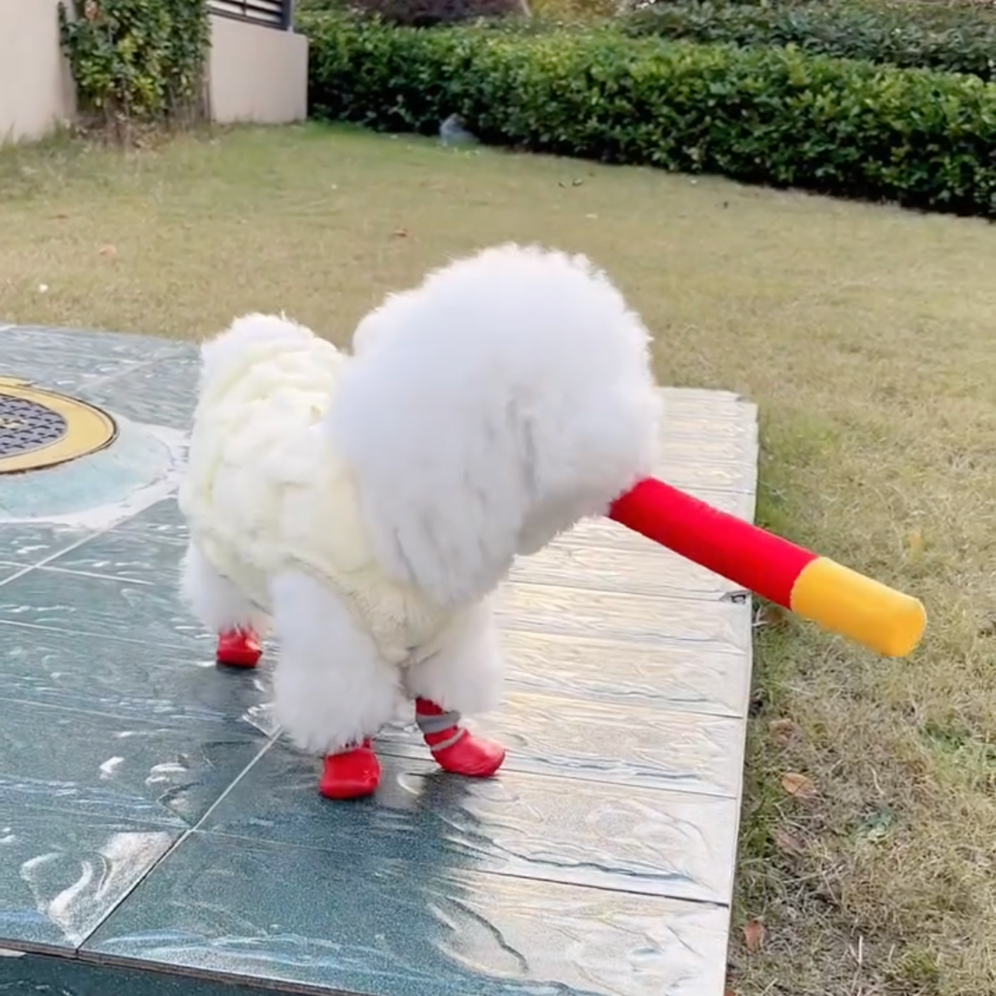 Chewie Cozy Waterproof Shoes