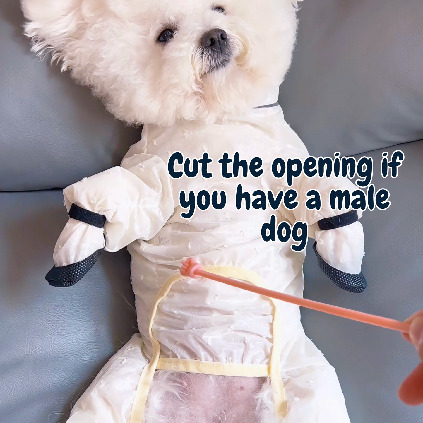 Chewie Viral Anti-Dirt Pants