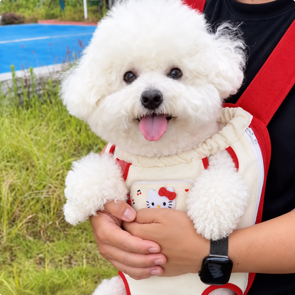 Chewie Viral Cozy Backpack