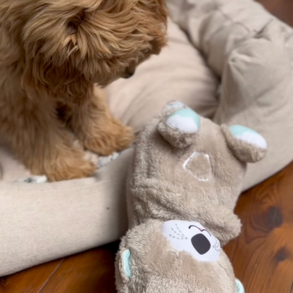 Chewie Calming Breathing Otter