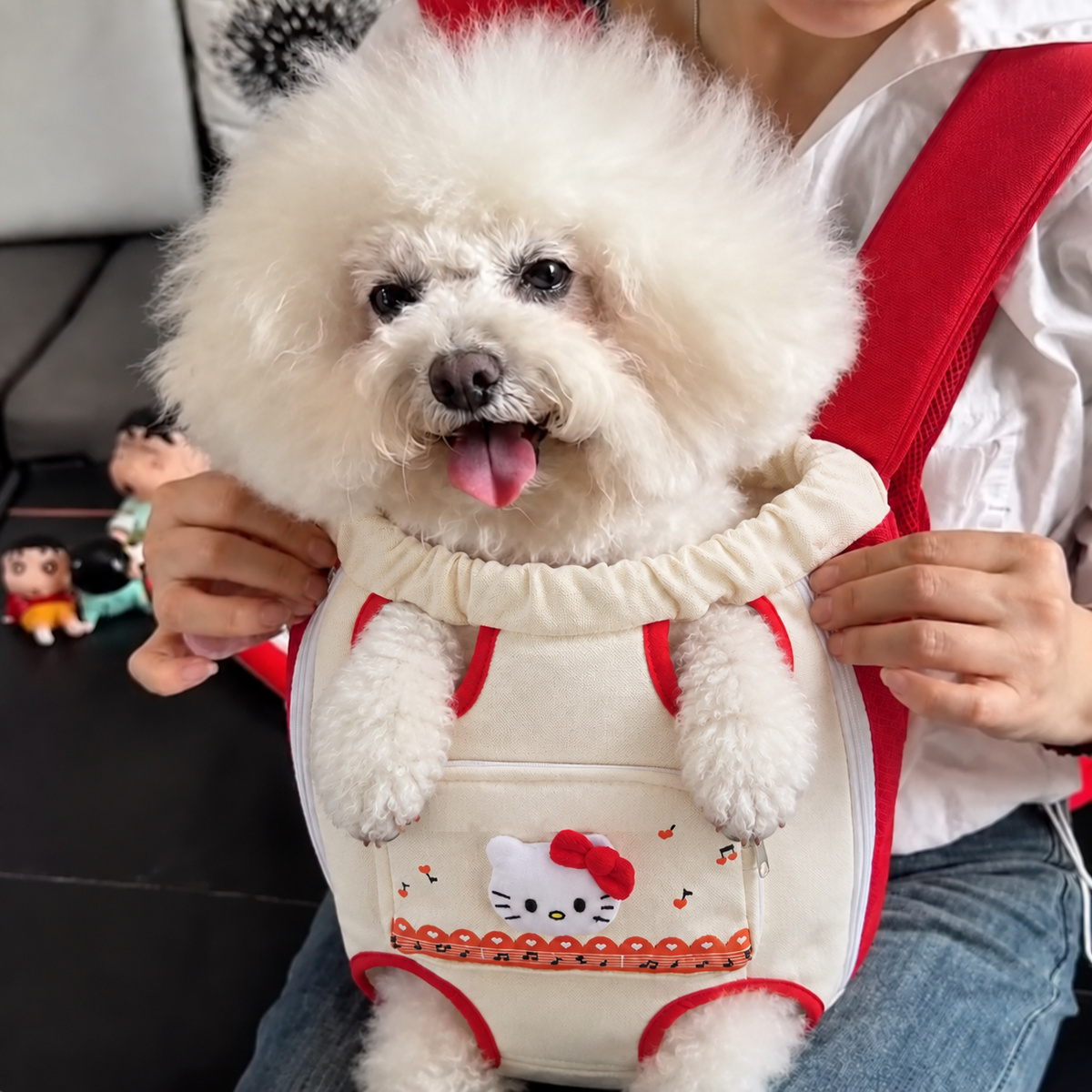 Chewie Viral Cozy Backpack