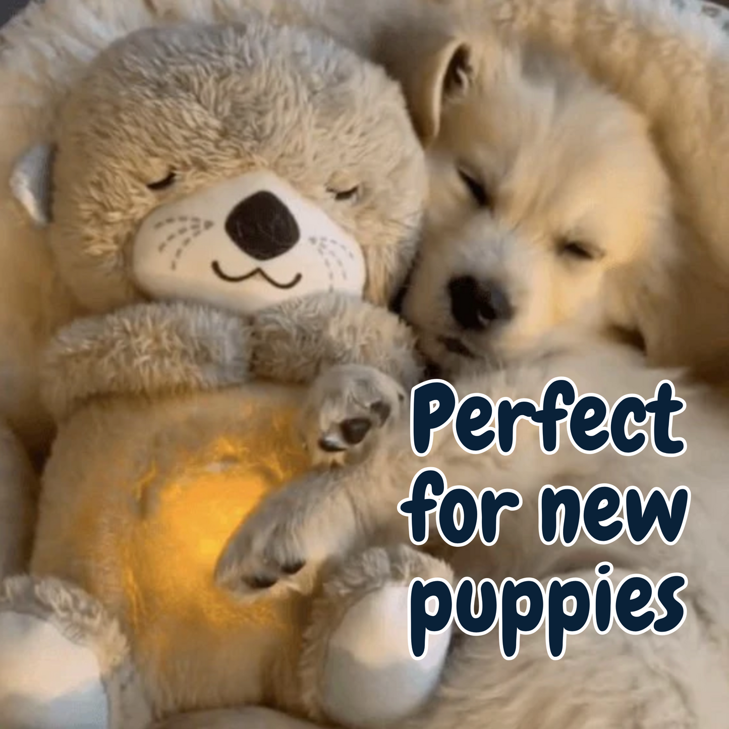 Chewie Calming Breathing Otter