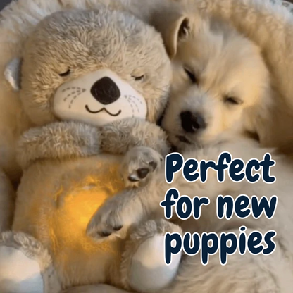 Chewie Calming Breathing Otter