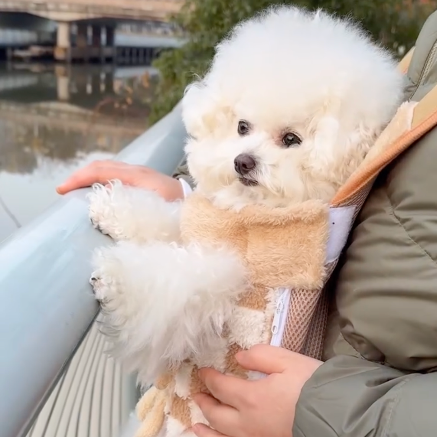 Chewie Viral Cozy Backpack