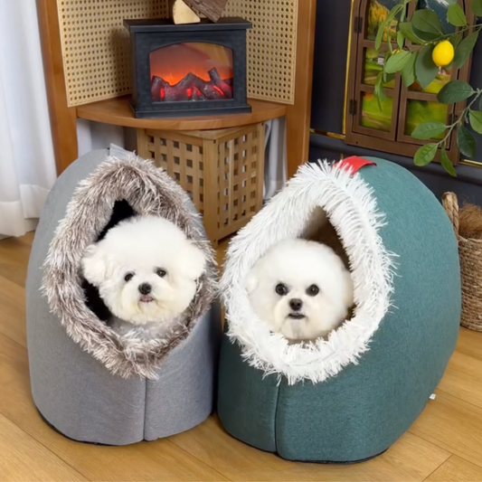 Chewie Viral Dog Nest