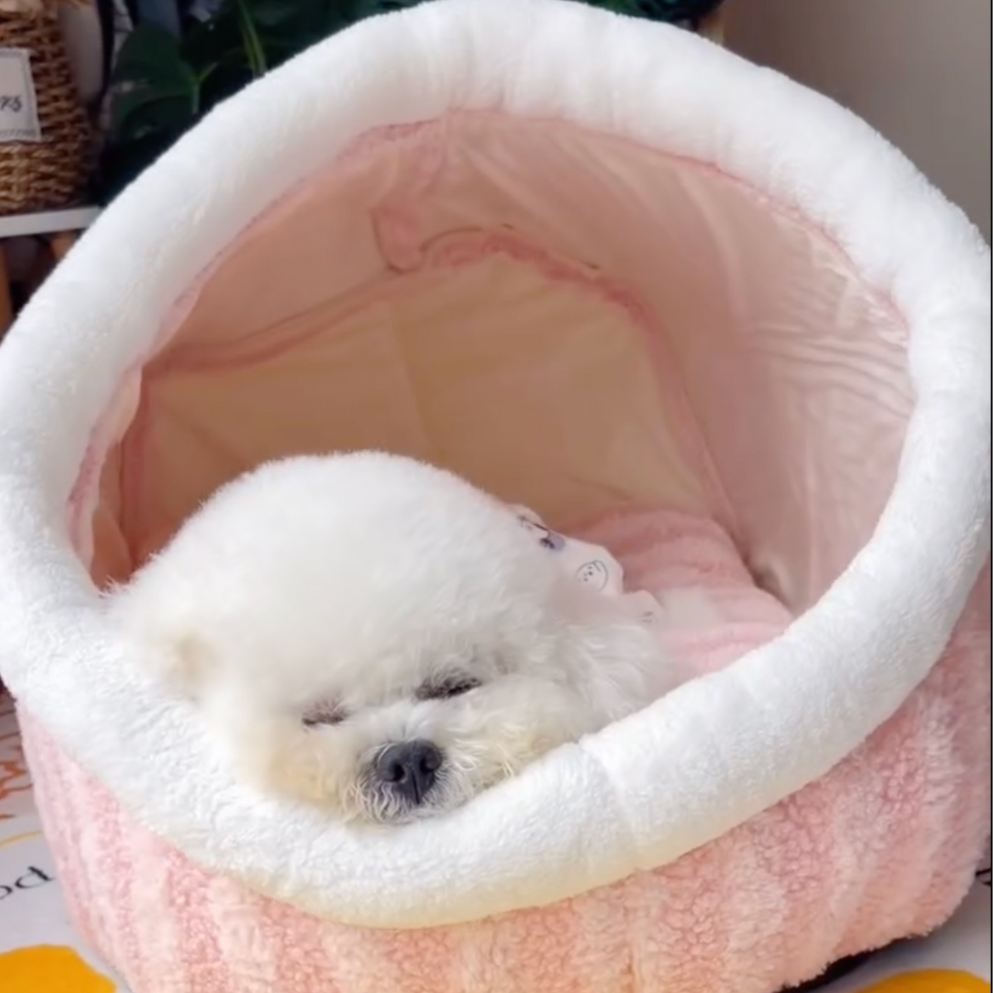 Chewie Cozy Dog Nest