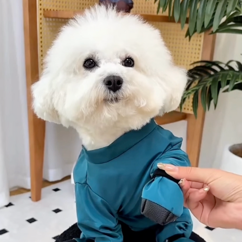 Chewie Viral Anti-Dirt Pants