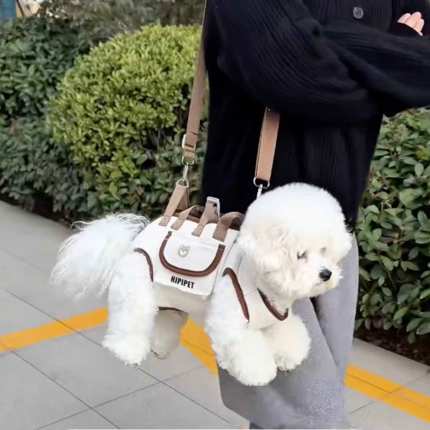 Chewie Viral Dog Carrier