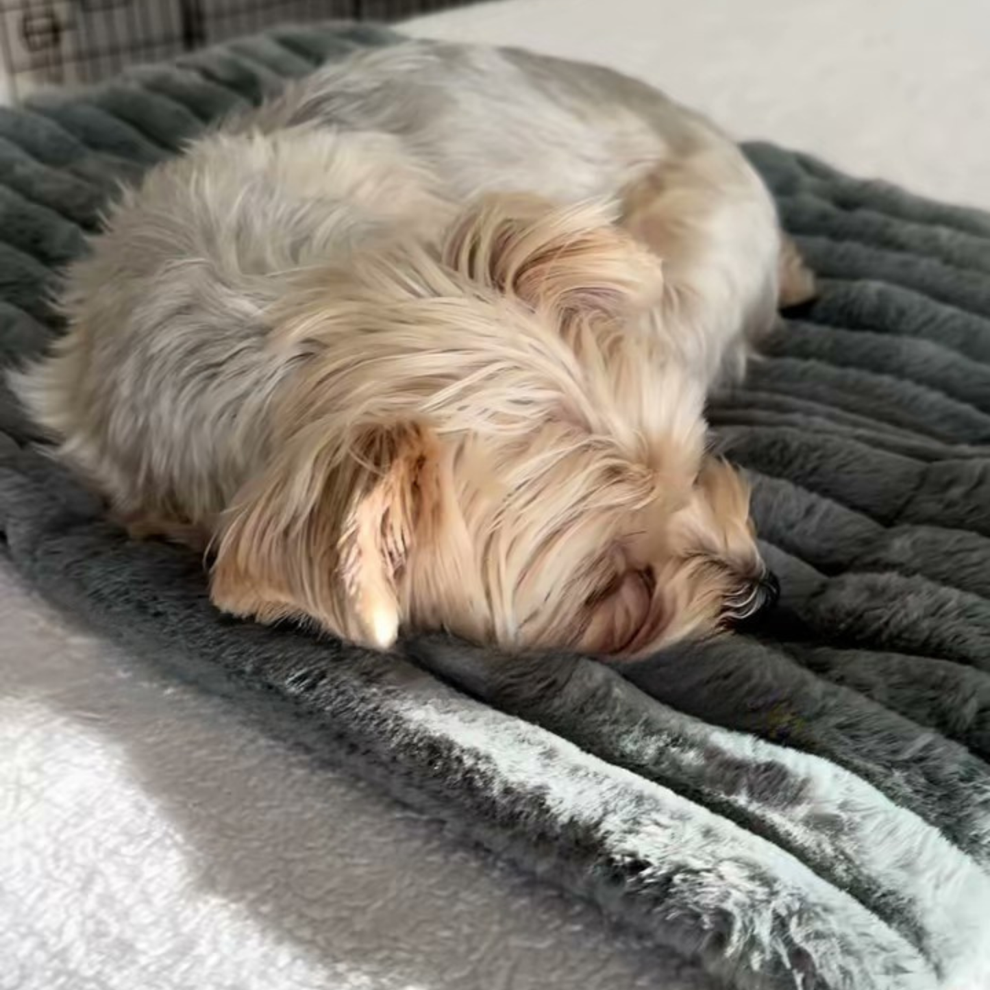 Chewie Viral Self-Heating Mat