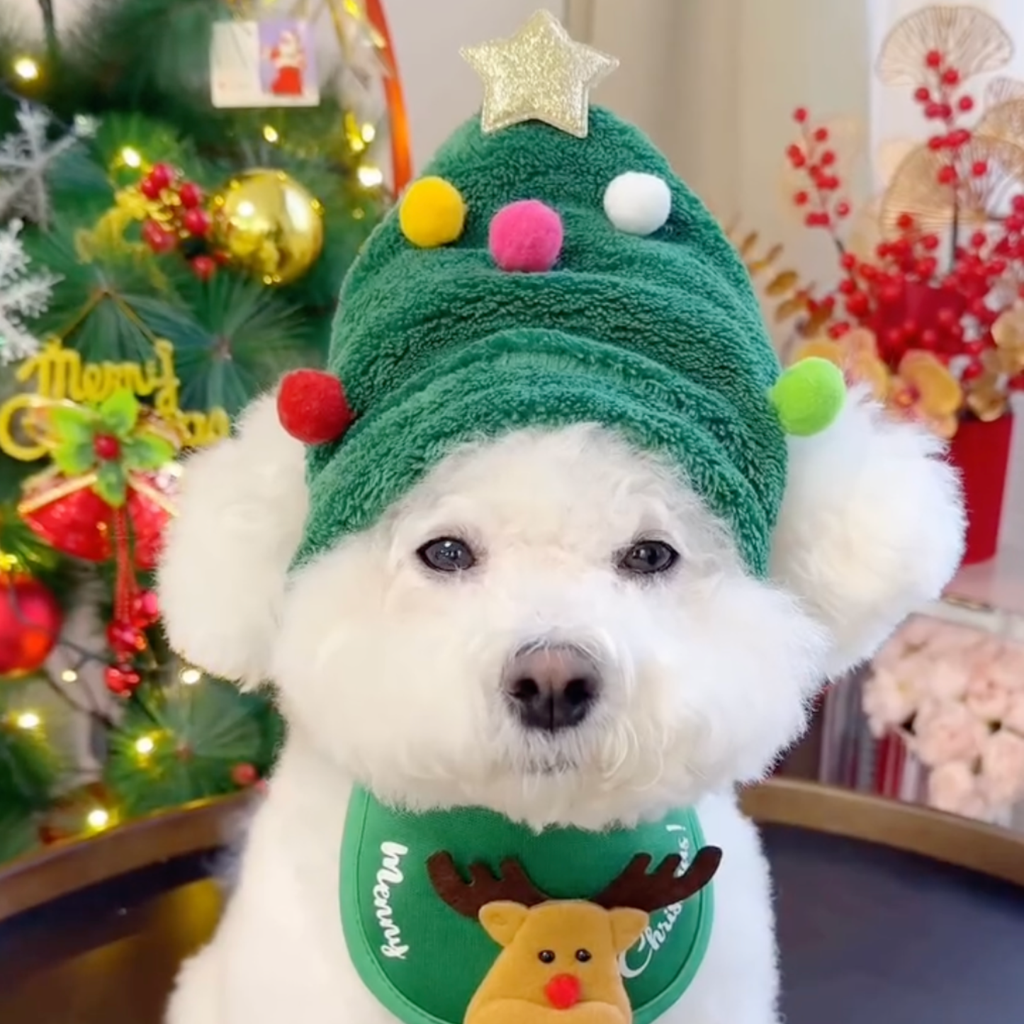 Chewie Viral Christmas Hat