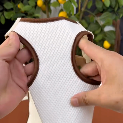 Chewie Viral Dog Carrier