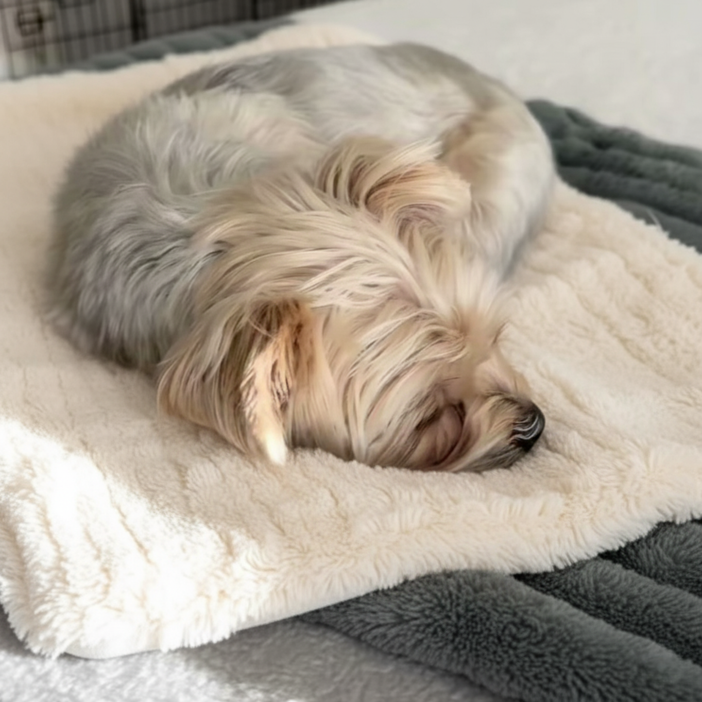 Chewie Viral Self-Heating Mat
