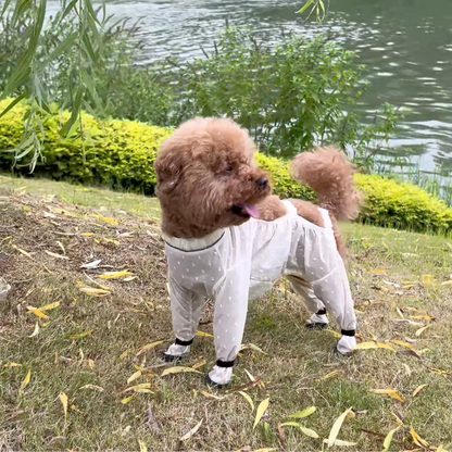 Chewie Viral Anti-Dirt Pants