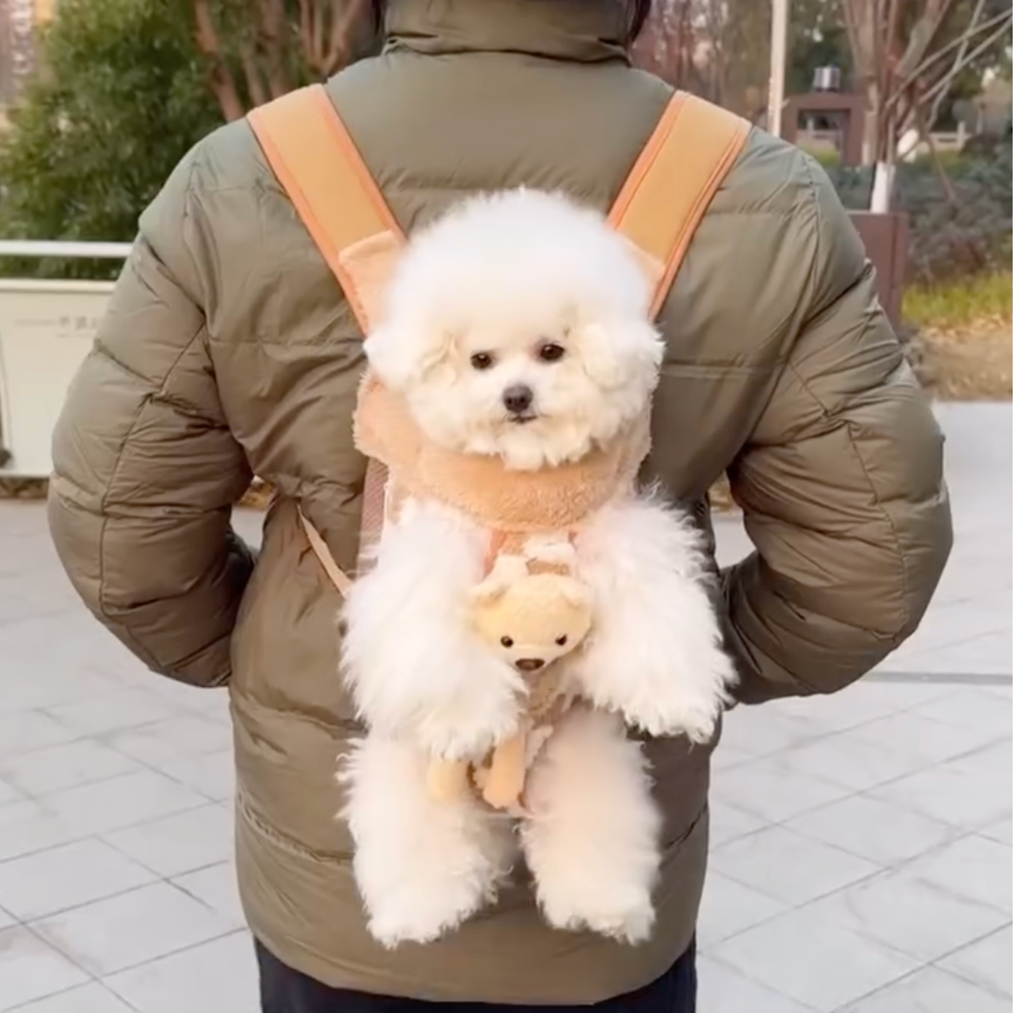 Chewie Viral Cozy Backpack
