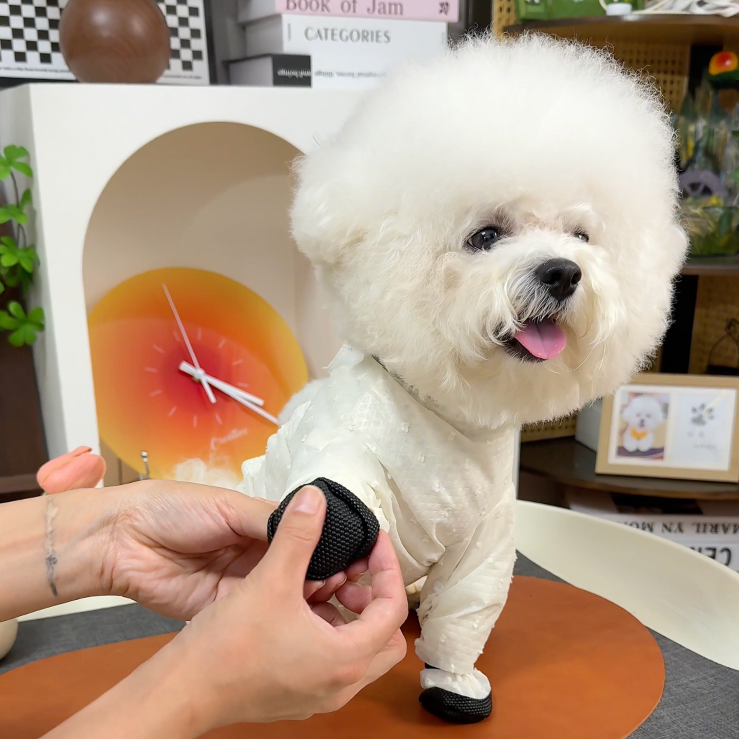 Chewie Viral Anti-Dirt Pants