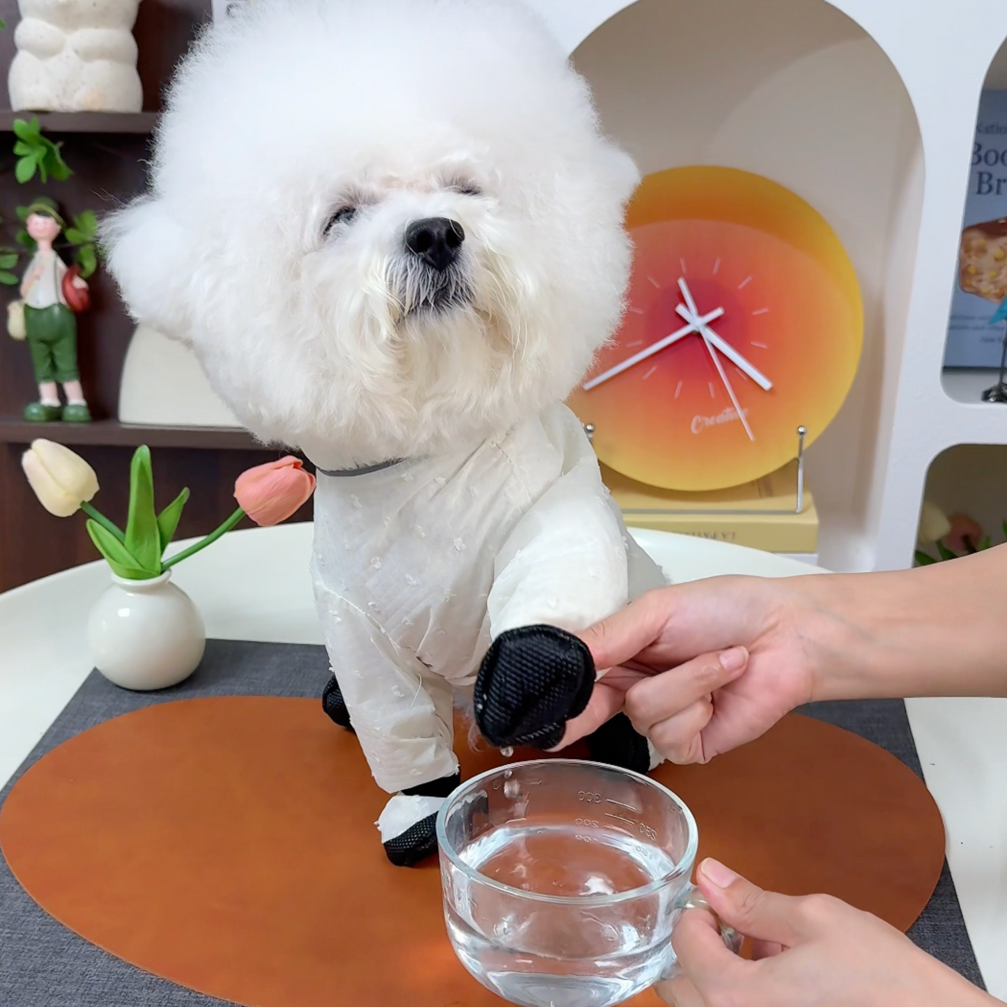 Chewie Viral Anti-Dirt Pants