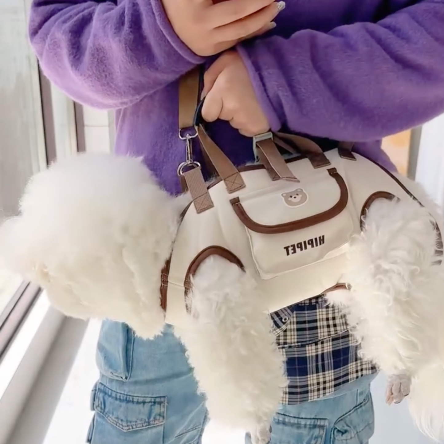 Chewie Viral Dog Carrier