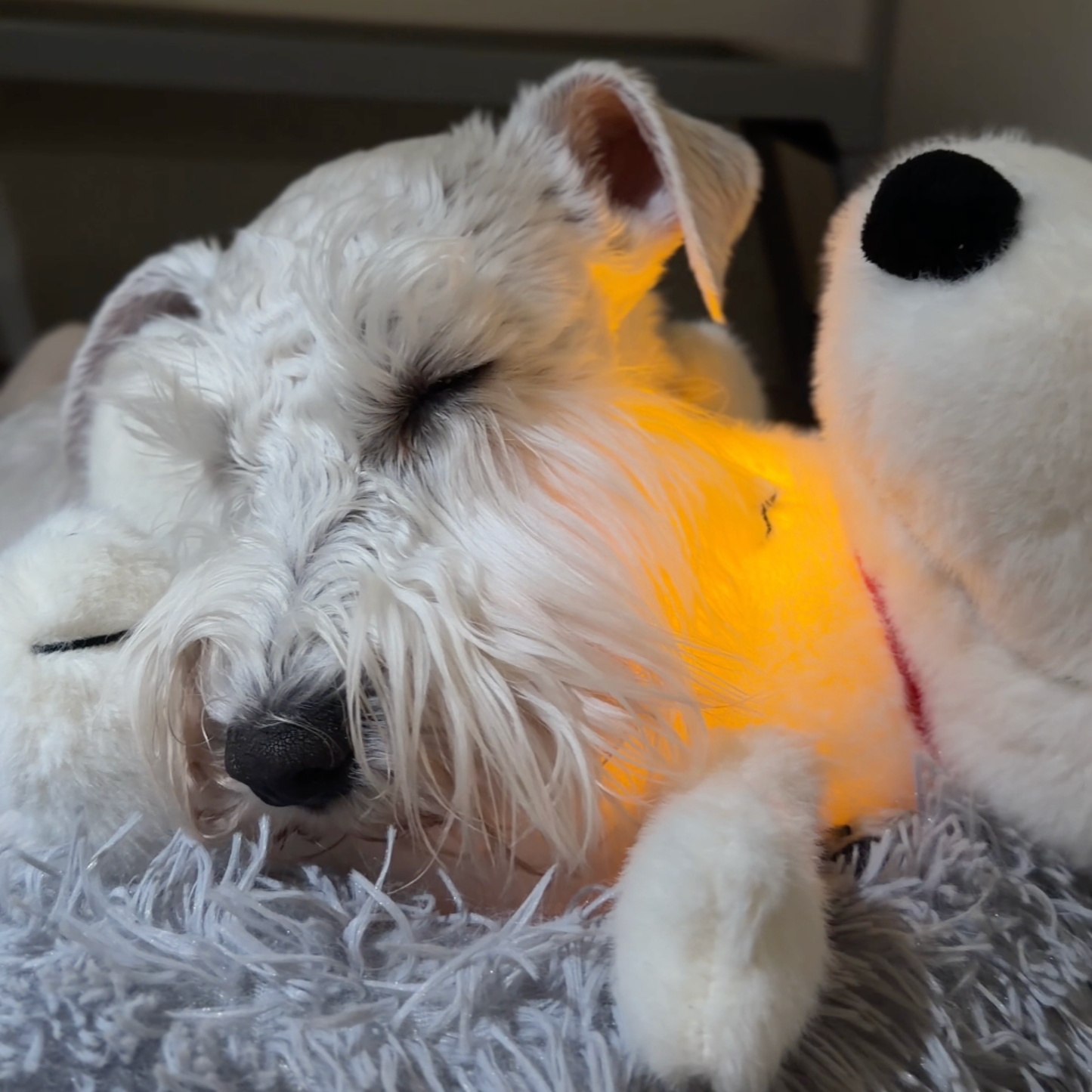 Chewie Calming Breathing Snoopy