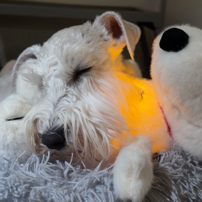 Chewie Calming Breathing Snoopy