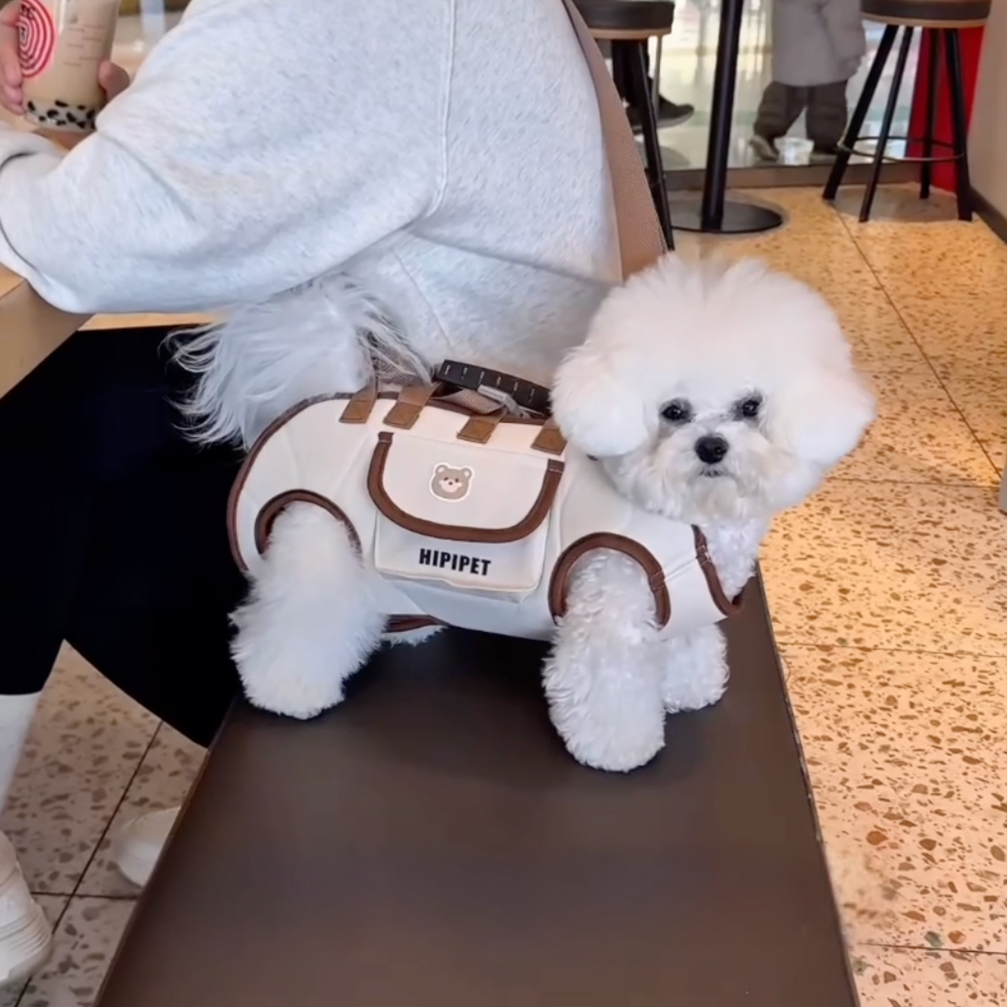 Chewie Viral Dog Carrier