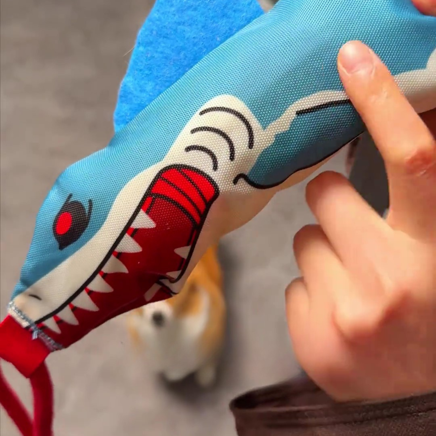 Chewie Viral Shark Tugger