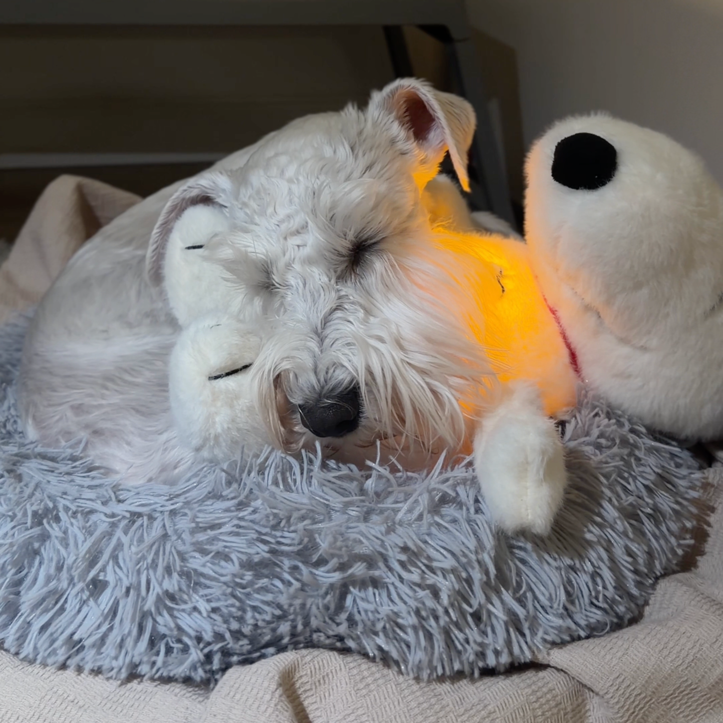 Chewie Calming Breathing Snoopy