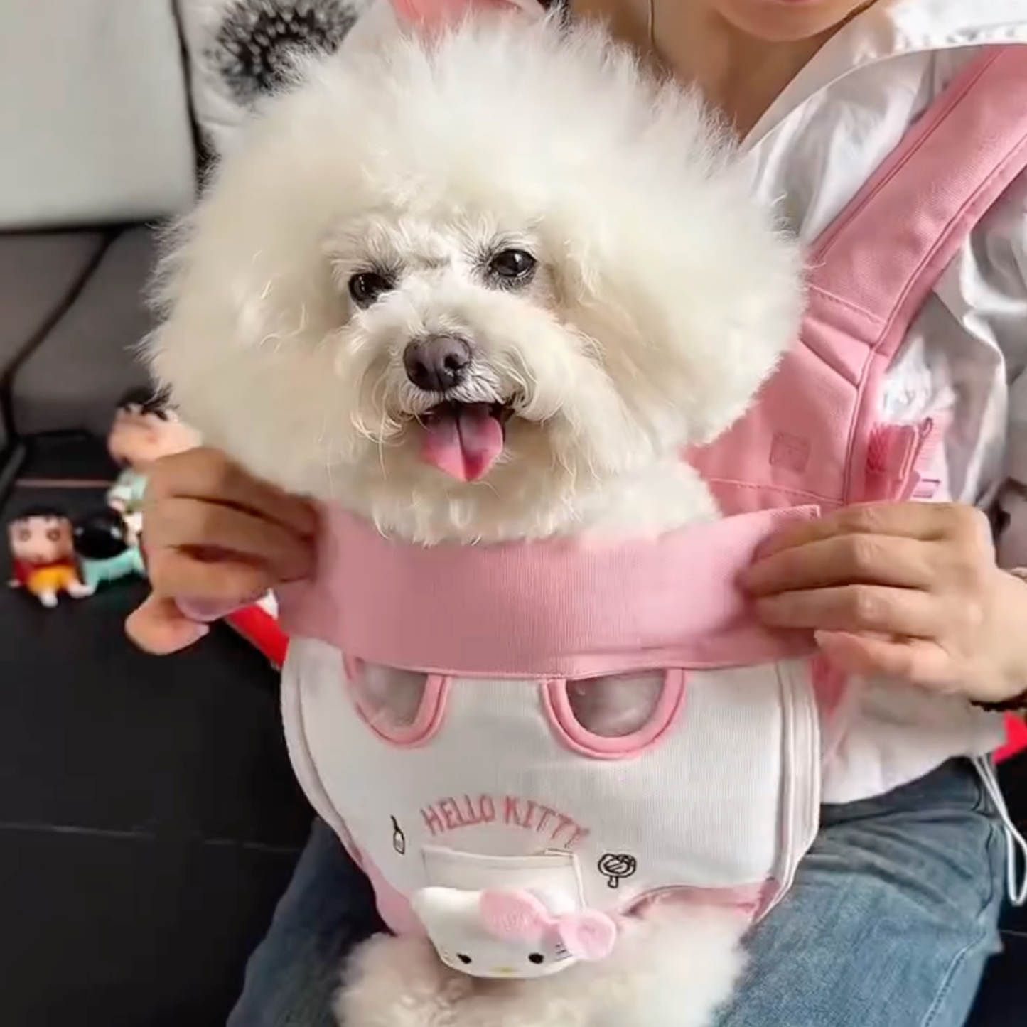 Chewie Viral Cozy Backpack