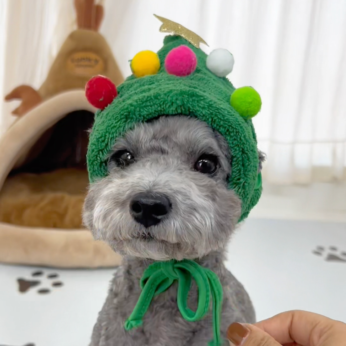 Chewie Viral Christmas Hat