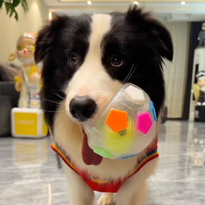 Chewie Viral Soccer Ball