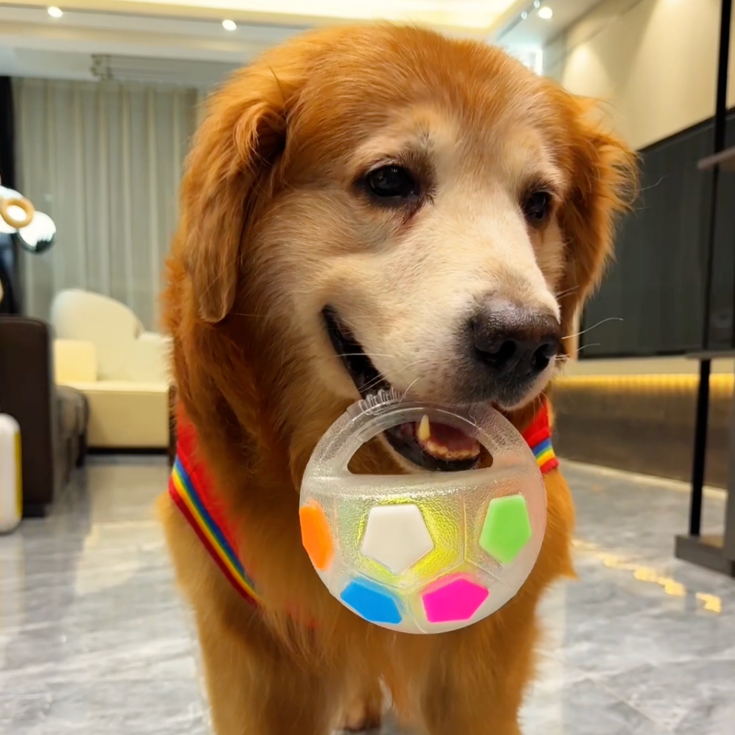 Chewie Viral Soccer Ball