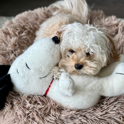Chewie Calming Breathing Snoopy