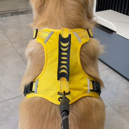 Chewie Cozy Harness
