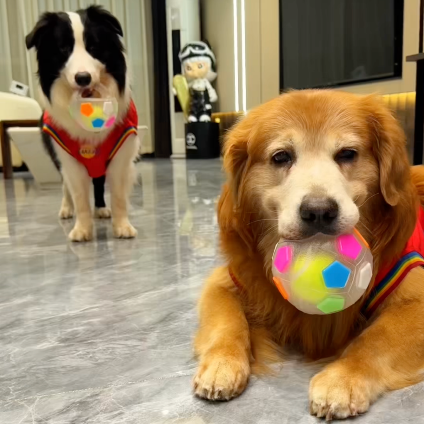 Chewie Viral Soccer Ball